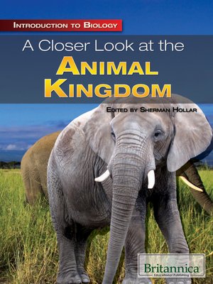 cover image of A Closer Look at the Animal Kingdom